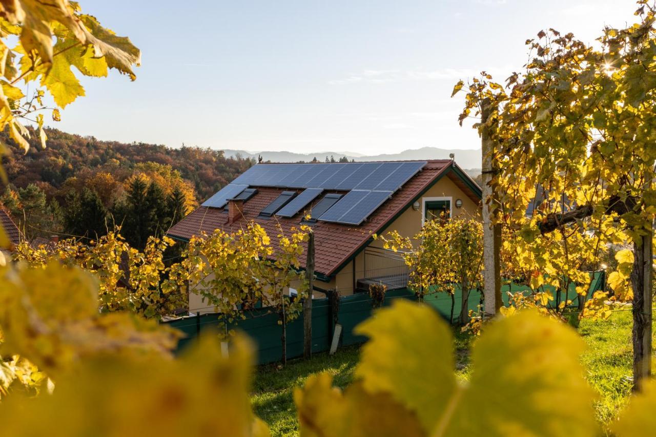 Weinberghaus Am Burgstallkogel Leibnitz Zewnętrze zdjęcie