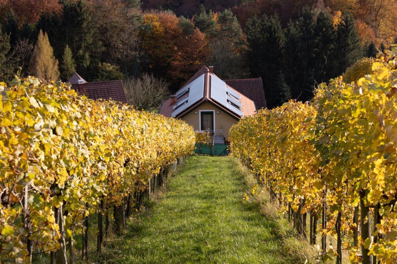 Weinberghaus Am Burgstallkogel Leibnitz Zewnętrze zdjęcie