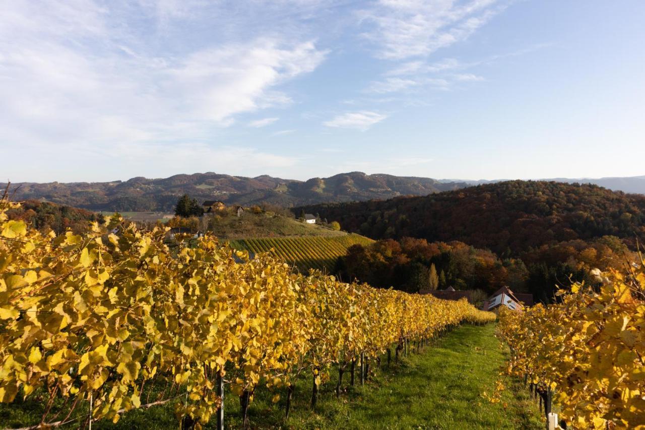 Weinberghaus Am Burgstallkogel Leibnitz Zewnętrze zdjęcie