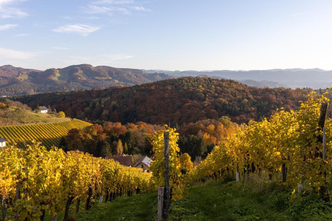 Weinberghaus Am Burgstallkogel Leibnitz Zewnętrze zdjęcie
